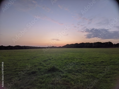 sunset over the field