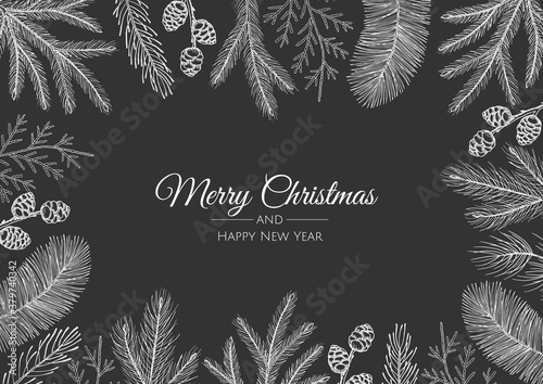 Beautiful frame with pine branches and cones. Hand drawn vector illustration.
