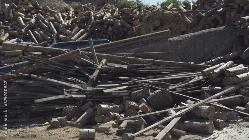Wide shot of felled wooden logs lying under sunlight outdoors. Piled trees on production site. Chopped stacked timber. Non-renewable natural resources. Wide shot of felled wooden logs lying under sunlight outdoors. Piled trees on production site. Chopped stacked timber. Non-renewable natural resources.