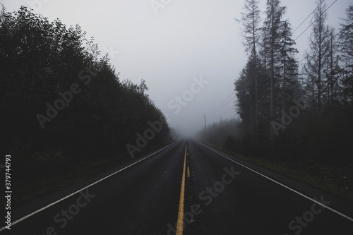 Quiet foggy road on a dark empty two lane road in a forest near Forks, Washington in the Olympic National Park