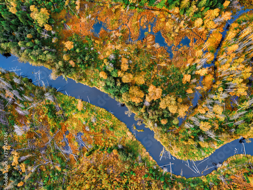 Winding river in the yellow...
