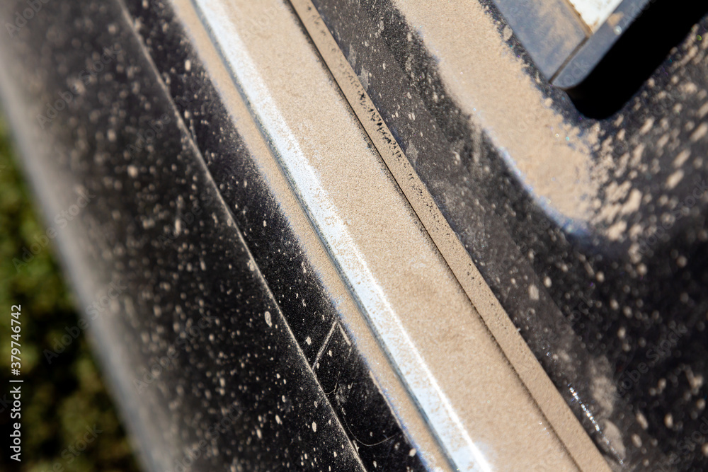 Fototapeta premium Details of the black car covered with dust.