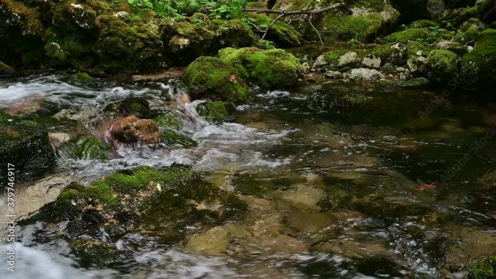 Wonderful fresh water rapids and waterfalls river flowing through forest in early sprting Wonderful fresh water rapids and waterfalls river flowing through forest in early sprting
