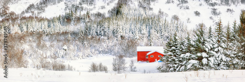 Fabulous winter scenery with traditional Norwegian wooden houses and pine trees near Valberg village at Lofotens. photo