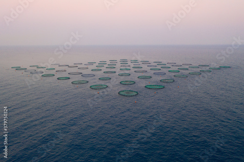 patterns on the sea level made from fish cultivation 