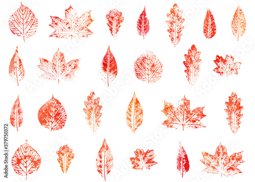 Set of leaves imprints. Orange watercolor autumn design.