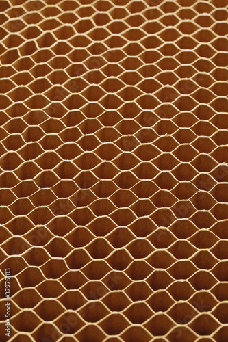 honeycomb cells of cardboard stiffering rib background photo