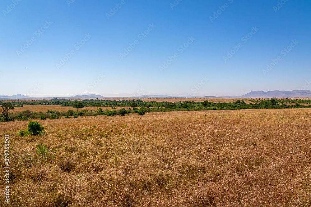 ケニアのマサイマラ国立保護区で見た、大草原と青空