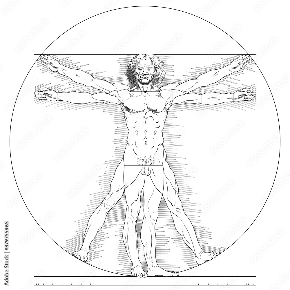 Fototapeta premium Illustration of Vitruvian man, Leonardo da Vinci drawing, Study of the anatomy of the human body, Canon of human proportions, only lines, all on white background