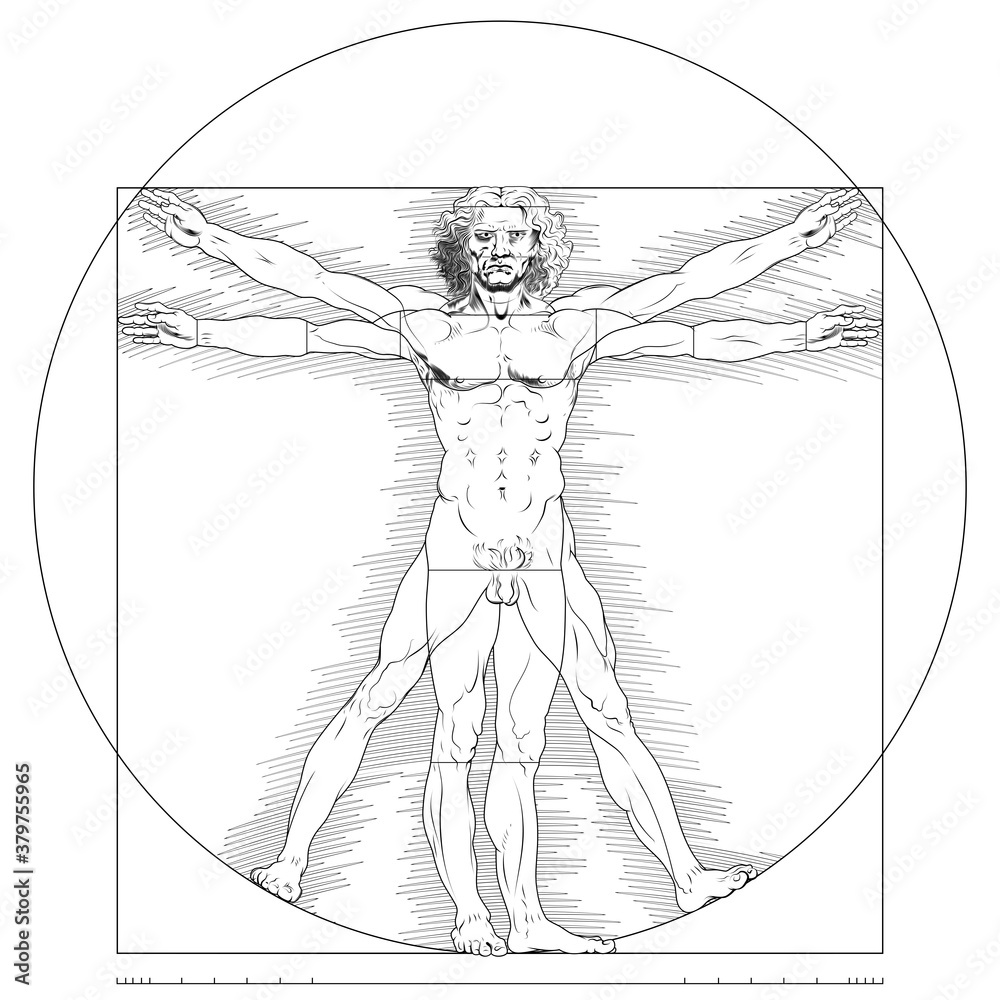 Illustration Of Vitruvian Man Leonardo Da Vinci Drawing Study Of The 