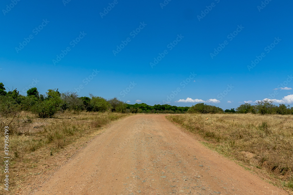 ケニアのマサイマラ国立保護区に広がる野原の風景と青空