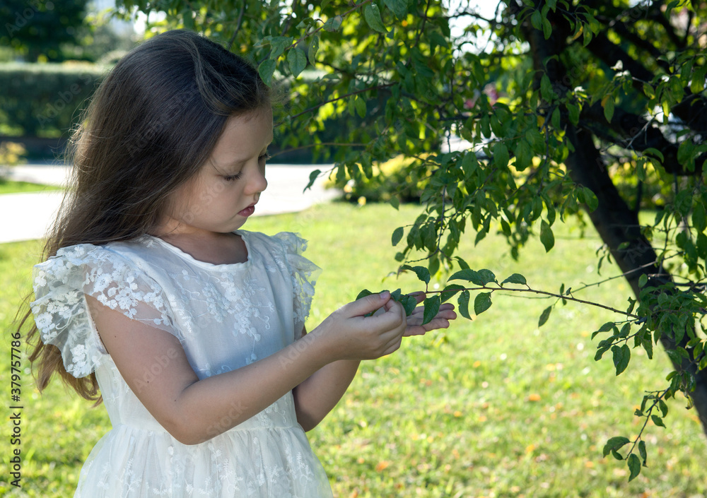 little girl in a white dress explores leaves near the tree nature little girl in a white dress explores leaves near the tree nature