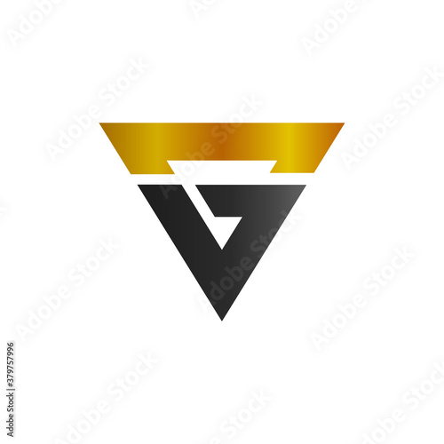 Letter g logo in vector