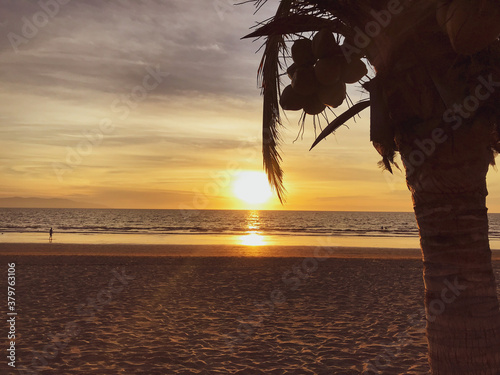 Palmera con atardecer con cocos 