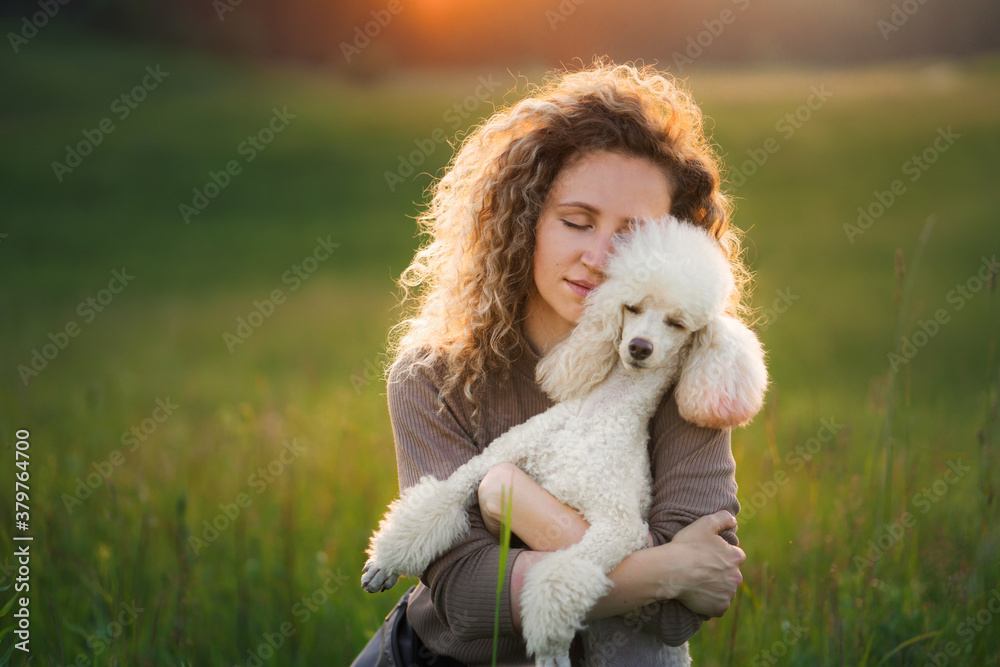 nice woman and dog on a field at sunset. Walking with pet in nature nice woman and dog on a field at sunset. Walking with pet in nature