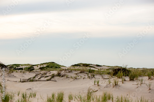Fototapeta Naklejka Na Ścianę i Meble -  East coast beach dunes landscape