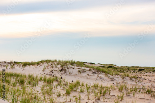 East coast beach dunes landscape
