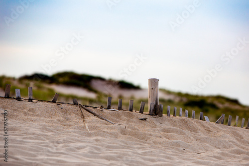 beach dunes wood fence landscape