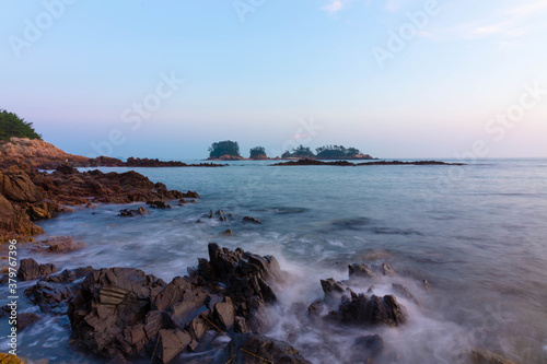 소나무와 바다 © MIN  CHEOL KIM