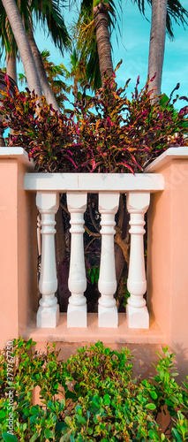 Finial Plants