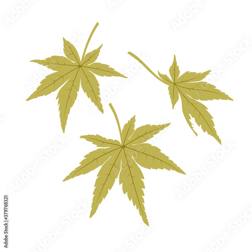 もみじの葉（緑）