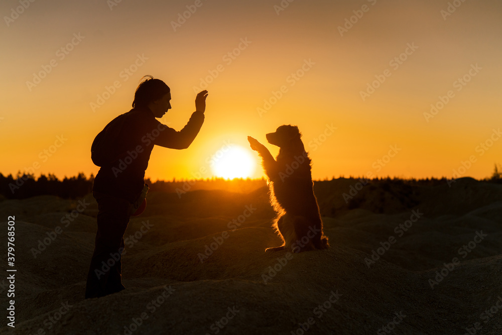 silhouette of a dog and a man at sunset. Relationship, communication, sunny. 