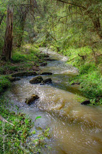 Andersons Creek vert