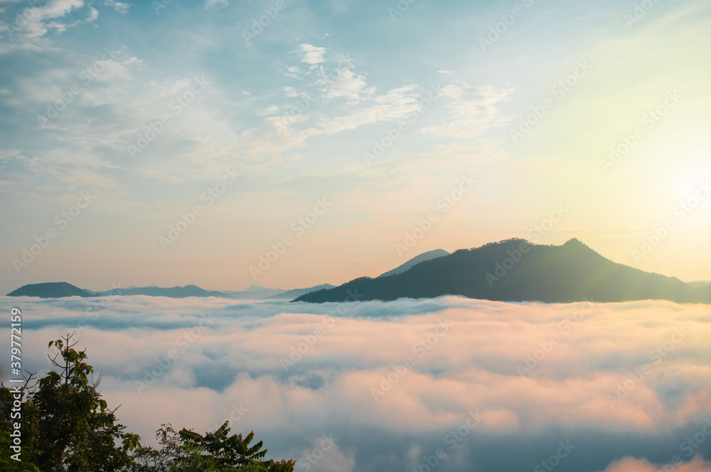 Foggy morning valley area, fair light of the sun, beautiful scenery. Foggy morning valley area, fair light of the sun, beautiful scenery.