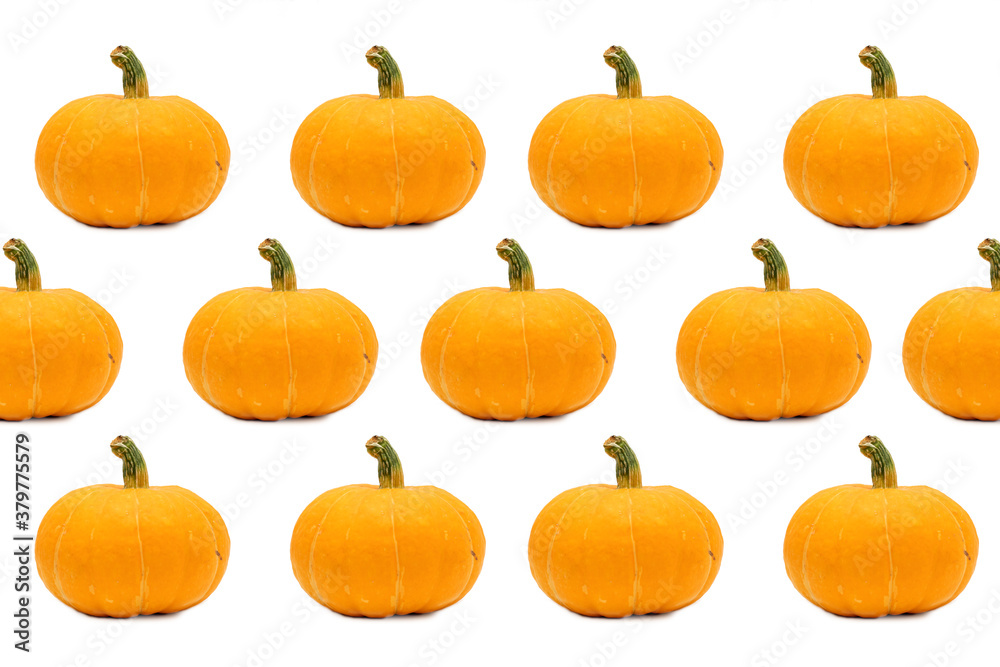 Seamless Pumpkin pattern on white background Seamless Pumpkin pattern on white background