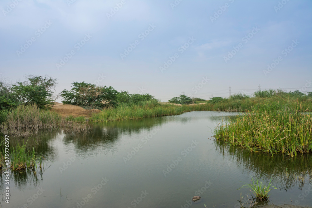 Obraz premium lake