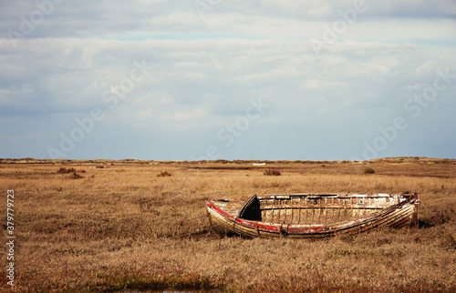 Boats on marshland
