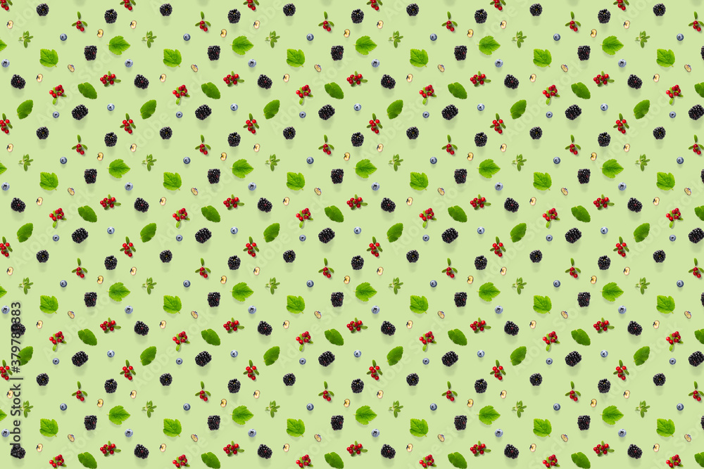 Set of wild berries, blackberry, blueberry, lingonberry and bramble. Background on green backdrop made from autumn forest wild berries.