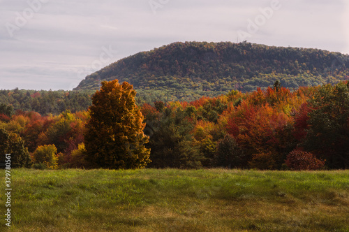 Autumn in New England photo