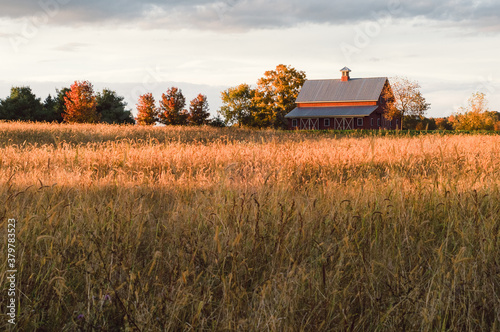red barn or stable in a field of dry grass in autumn