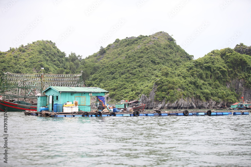 Fototapeta premium Floating Fishing Village In The Ha Long Bay. Cat Ba Island, Vietnam Asia. Cat Ba, Vietnam - March 5, 2020