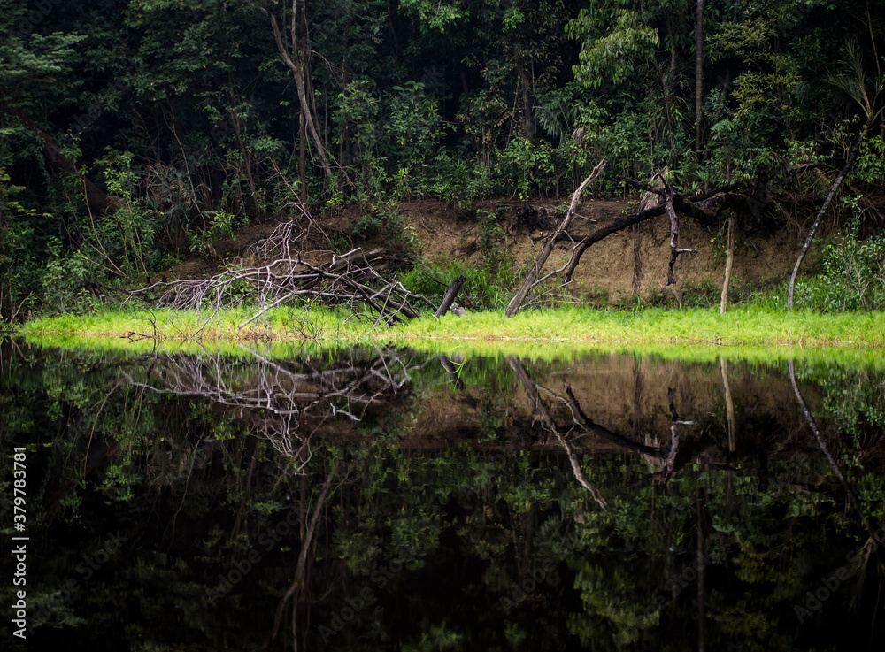 Tributary off the Amazon - Rio Negre river, Brazil Tributary off the Amazon - Rio Negre river, Brazil