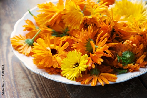 Calendula flowers