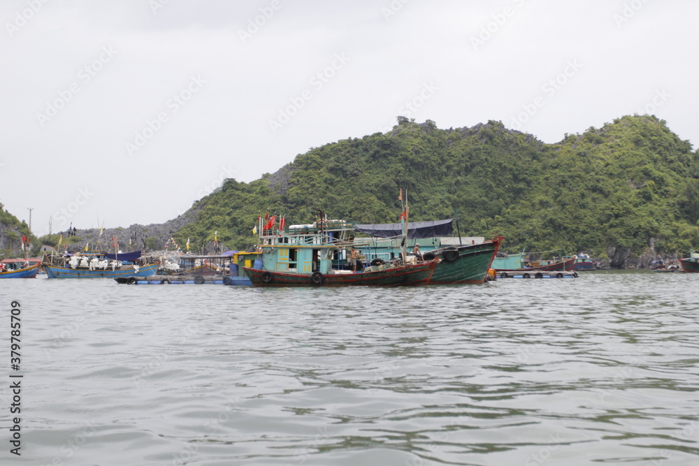 HA LONG BAY, VIETNAM - NOVEMBER 13, 2018: Halong Bay, Vietnam. Unesco World Heritage Site. Traditional tourist boats. HA LONG BAY, VIETNAM - NOVEMBER 13, 2018: Halong Bay, Vietnam. Unesco World Heritage Site. Traditional tourist boats.