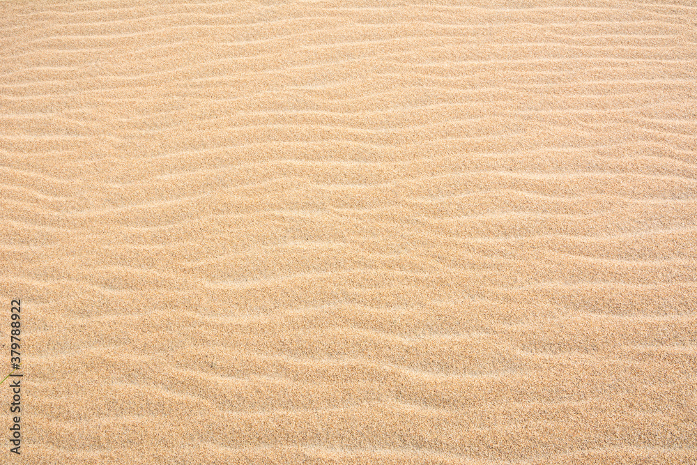 Texture of the sand. Wind ripples on the sandy beach Texture of the sand. Wind ripples on the sandy beach