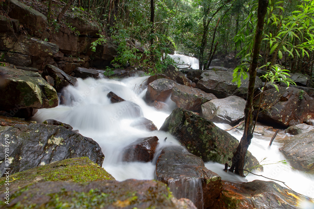 Suoi tranh phu quoc waterfall in the forest Suoi tranh phu quoc waterfall in the forest