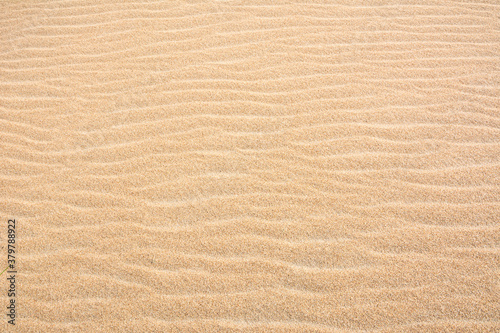 Texture of the sand. Wind ripples on the sandy beach
