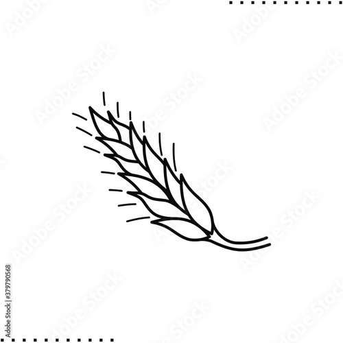 spikelet, cereals vector icon in outline
