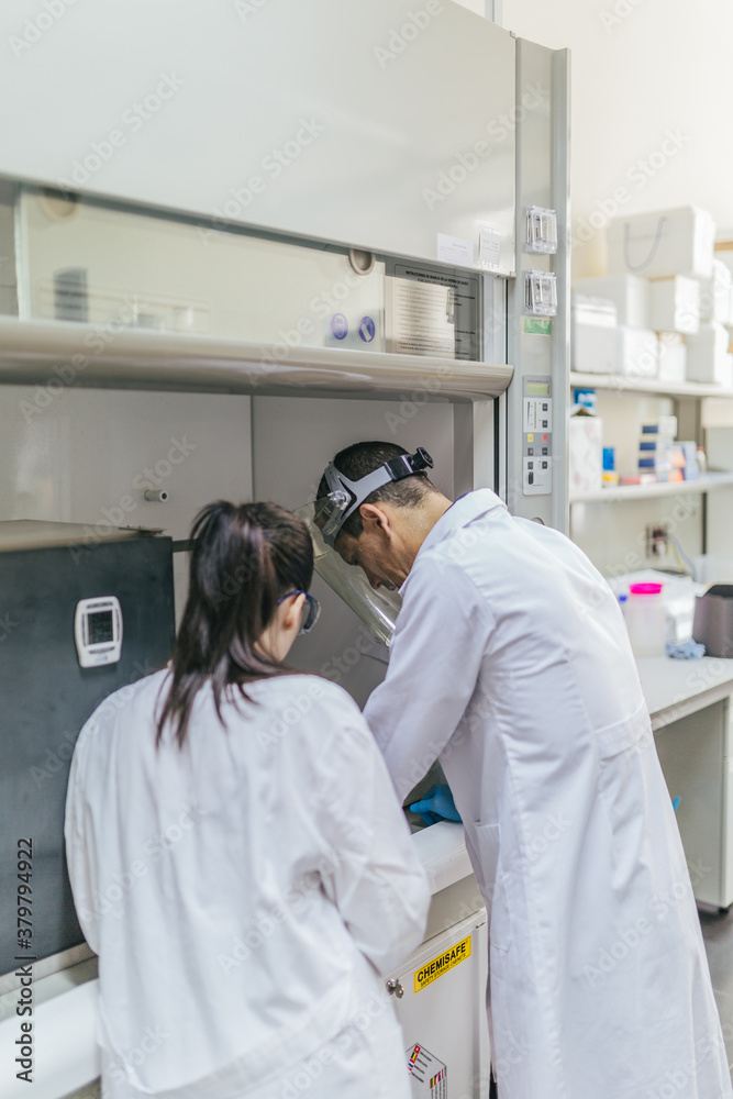 Young Researchers Working in a Professional Laboratory Young Researchers Working in a Professional Laboratory