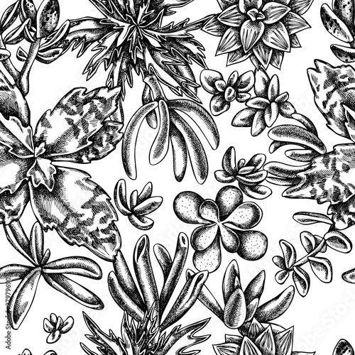 Wallpaper Mural Seamless pattern with black and white succulent Torontodigital.ca
