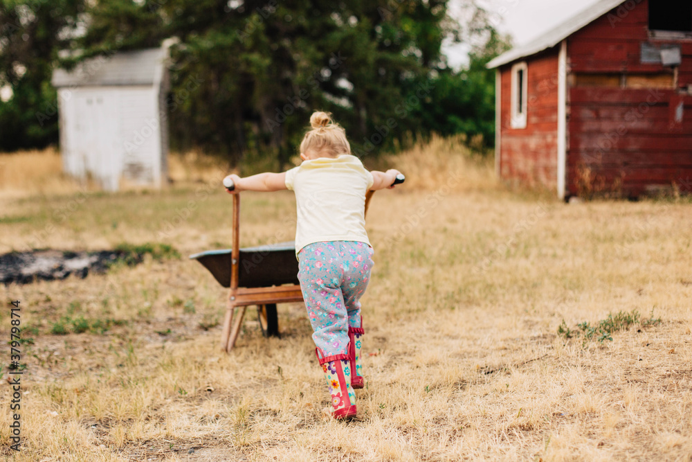 Toddler girl pushing a wheelbarrow outside in the fall. Toddler girl pushing a wheelbarrow outside in the fall.