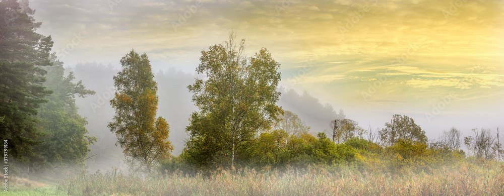 jesienny krajobraz z Mazur w północno-wschodniej Polsce - obrazy, fototapety, plakaty 