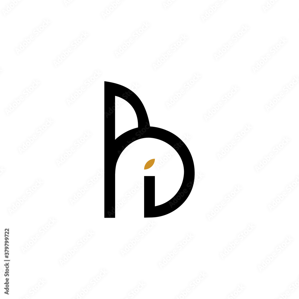 Photography Initial letter ib or bi logo vector design template