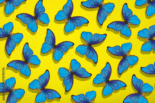Foto pattern of colorful butterflies
