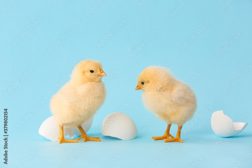 Cute hatched chicks on color background Cute hatched chicks on color background