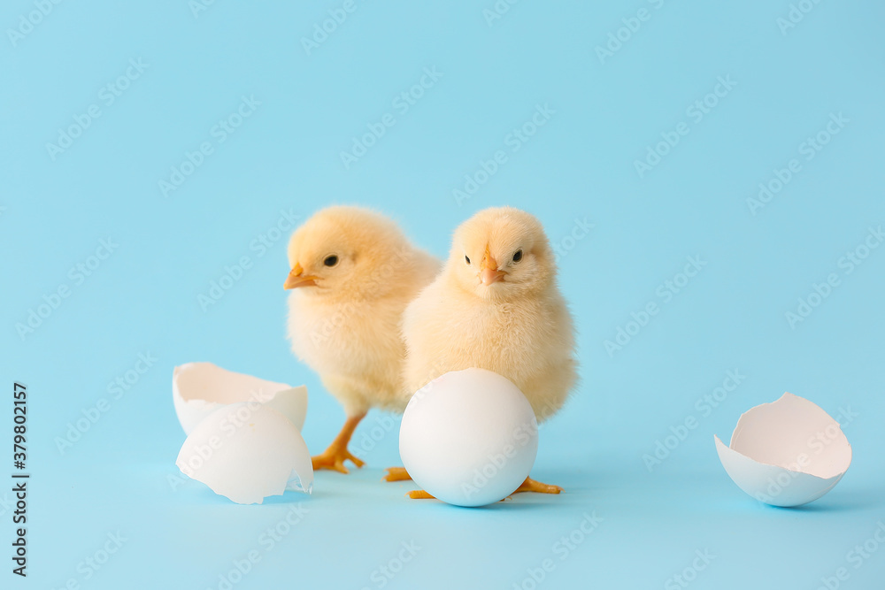 Cute hatched chicks on color background Cute hatched chicks on color background